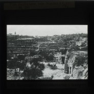 Böhl glass slide 62.1/2091